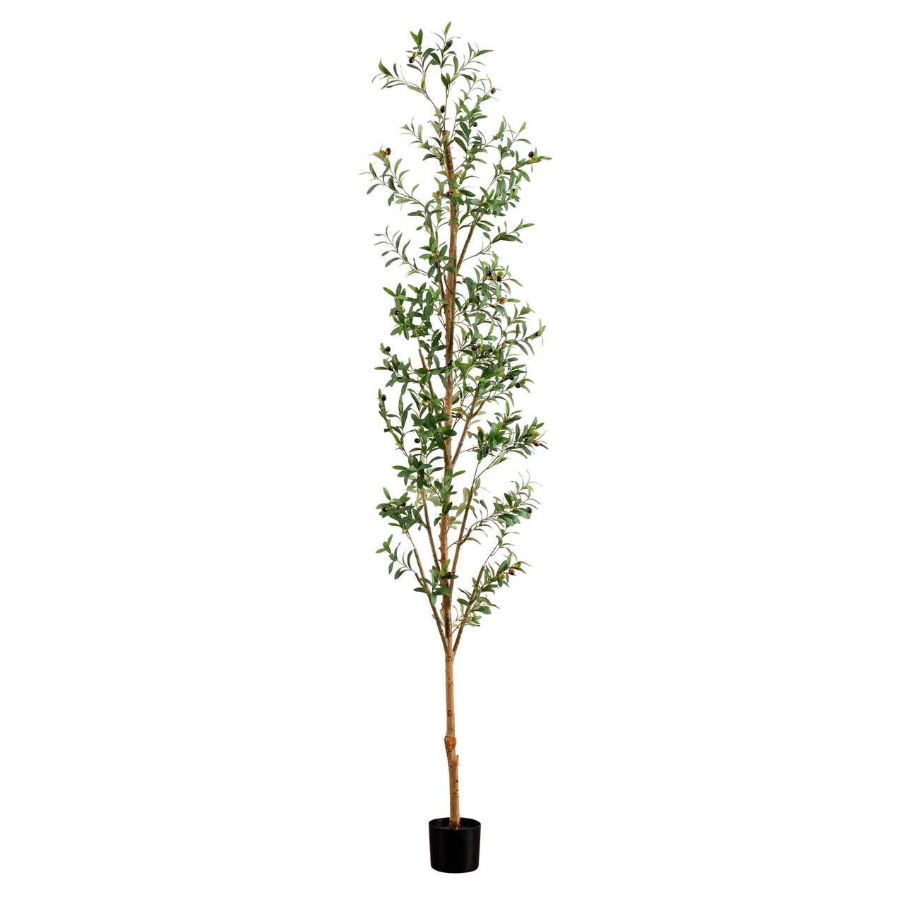9ft. Potted Artificial Olive Tree with Natural Trunk